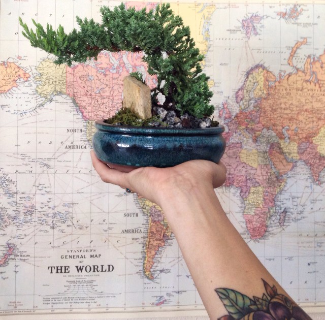 hand holding up potted plant in front of map