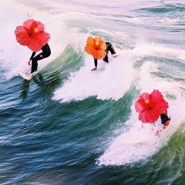 people surfing with flowers for heads