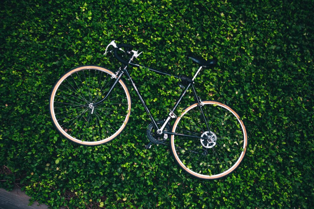 bike with green leafy background