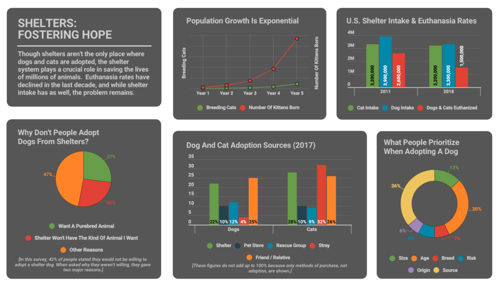 Infogram dashboard of charts related to animal shelters and adoption
