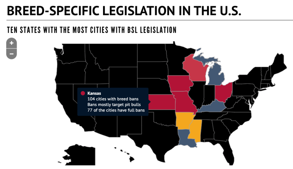 Map created in Infogram to show breed ban legislation in the US