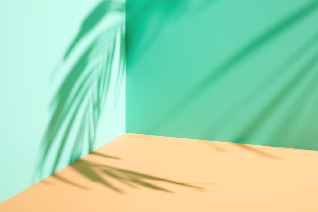 Minimal empty mint green and pastel orange cream colored 3d room background. Modern studio showcase, product display, stage with natural tropical palm tree shadows. Luxury stage concept for cosmetic, beauty, fashion, product mock-up design template presentation: brand color palette.