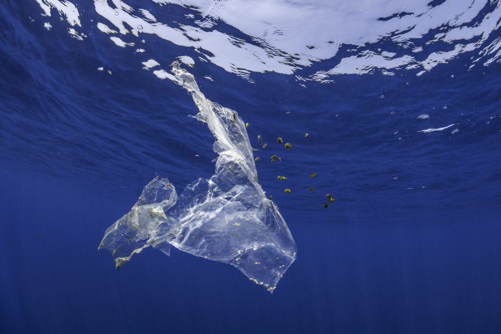 plastic floating in the ocean