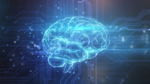 Ai brain - AI tools for productivity